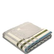 Biederlack Cotton Rich Picnic Check 140x180cm Throw, Green