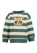 Blue Seven Baby Boy Outdoor Explorer Long Sleeve Sweater, Green image