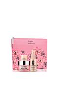 Clinique Moisture Meets SPF Hydration Set image