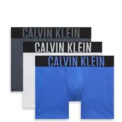 Calvin Klein 3 Pack Intense Power Boxer Briefs, Blue Multi image