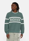 Dickies Melvern Oversized Sweater, Forest image