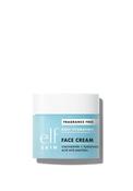 E.l.f. Holy Hydration Fragrance Free Face Cream, 50g image