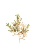 Enchante Antler Sparkle Spray, Champagne
