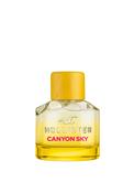 Hollister Canyon Sky For Her Eau De Toilette, 100ml image