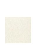 IHR Cameno Uni Napkins, Cream image