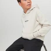 Jack &amp; Jones Boys Vesterbro Long Sleeve Hoodie, Moonbeam image