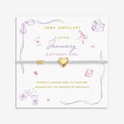 Joma Jewellery January Bracelet, Silver &amp; Gold image