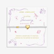 Joma Jewellery January Bracelet, Silver &amp; Gold image
