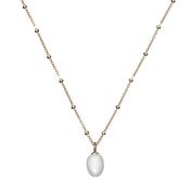 Kurate Pearl Drop Necklace, Gold image