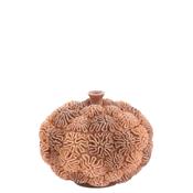 Light &amp; Living Deco Coral Reef Box, Light Brown