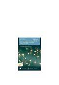 Kaemingk 12m Twinkling String Lights image