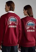 Napapijri Telemark Back Graphic Crew Neck Sweatshirt, Bordeaux image