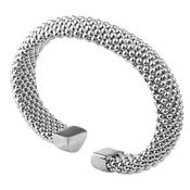 Rebecca Anthea Bangle, Silver image