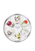 Tipperary Crystal Botanical Studio Lynn Stringer Mugs, Set of 6 image