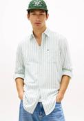 Tommy Jeans Stripe Oxford Shirt, Bahama Green image