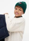 Tommy Hilfiger Kids Heritage Knit Hat, Green image