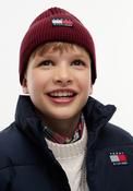 Tommy Hilfiger Kids Heritage Knit Hat, Wine image