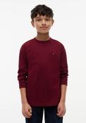 Tommy Hilfiger Boy Essential Long Sleeve Top, Wine image