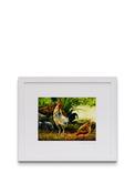 Blue Shoe Gallery “Cockerel &amp; Hen” Framed Art by John Galvin image