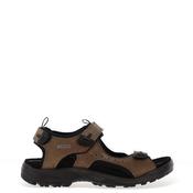 Ecco Men’s Offroad Andes II Sandal, Nutmeg Brown image