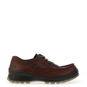 Ecco Men’s Track 25 Gore-Tex Shoes, Dark Brown image