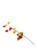 Enchante Physalis Stem, 64cm