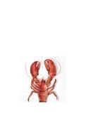 IHR Lobster 20 Piece Napkins, White image