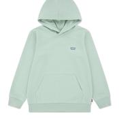 Levi’s Mini Boy Batwing Long Sleeve Hoodie, Green