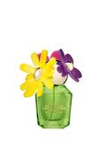 Marc Jacobs Daisy Wild Eau So Extra Eau de Parfum, For Her image
