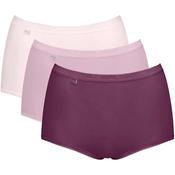 Sloggi Basic Maxi Briefs 3 Pack, Purple Multi