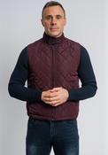 XV Kings by Tommy Bowe West Lions Gilet, Wine image