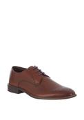Herbie Frogg Derby Brogue Shoe, Mahogany image