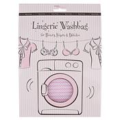 Secret Weapons Mesh Lingerie Washbag