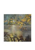 Sharon McDaid Shadows at Dusk Framed Art