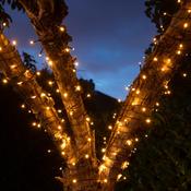 100 Fit &amp; Forgot B/O Warm White Multifunction String Lights image