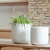 Capri White Houseplant Pot