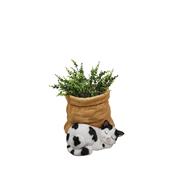 Sleeping Cat Planter image