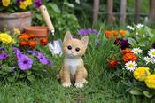 Pet Pals Ginger Kitten