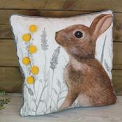 Cushion Hare in Meadow