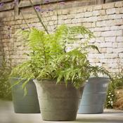 Liberty Green Outdoor Pot image