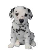 Vivid Arts Pet Pals Dalmatian Puppy