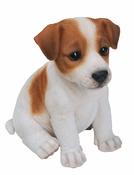 Vivid Arts Jack Russell Pup