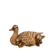 Vivid Arts Real Life Mother Duck/Ducklings