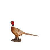 Vivid Arts Real Life Pheasant 30cm