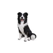 Vivid Arts Real Life Sitting Sheepdog 35cm