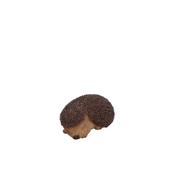 Vivid Arts Sleeping Baby Hedgehog 13cm