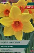Taylors Narcissus Gentleman at Arms