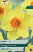 Taylors Narcissus Sealing Wax