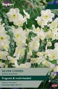 Taylors Narcissus Silver Chimes