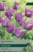 Taylors Tulip Bleu Aimable